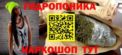 твердый Новокубанск