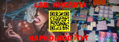 прущие грибы Новозыбков