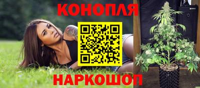 гашик Новодвинск
