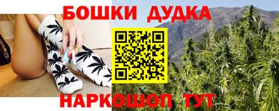 прущие грибы Новозыбков