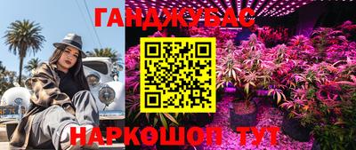 твердый Новокубанск