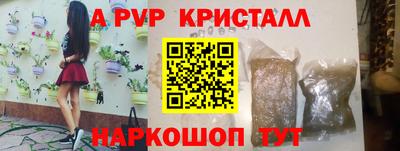 прущие грибы Новозыбков