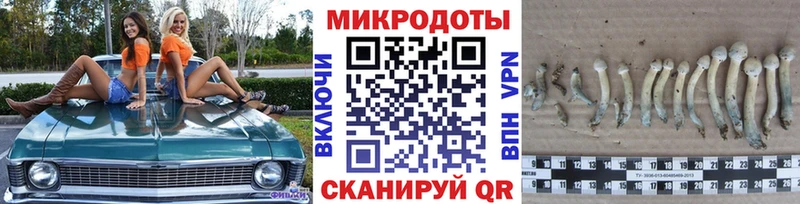 blacksprut ССЫЛКА  Искитим  Галлюциногенные грибы мухоморы  купить  сайты 