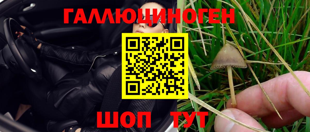 Псилоцибиновые грибы прущие грибы Искитим